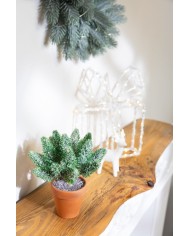 Dekorácia MagicHome Vianoce, vetvičky v črepníku, zasnežená, 20 cm