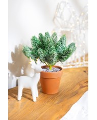 Dekorácia MagicHome Vianoce, vetvičky v črepníku, zasnežená, 20 cm