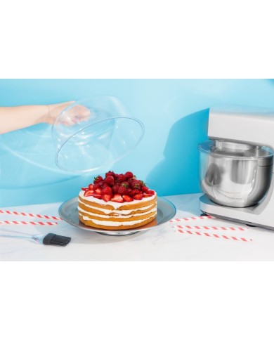 Box MagicHome, podnos na tortu, nerez, priehľadné veko, 31 cm