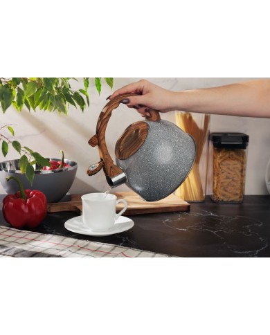 Čajník MagicHome, pískací, šedý, 2500 ml