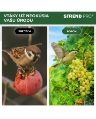 Sieť Strend Pro, 2x5 m, oko 18 mm, proti vtákom, PE