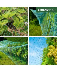 Sieť Strend Pro, 2x5 m, oko 18 mm, proti vtákom, PE