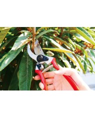Nožnice AQUACRAFT® 330500, záhradné, na konáre, kované, s púzdrom na opasok