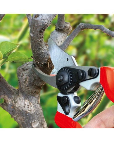 Nožnice AQUACRAFT® 330520, záhradné, na konáre, kované, s púzdrom na opasok