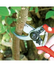 Nožnice AQUACRAFT® 330550, záhradné, na konáre, kované, s púzdrom na opasok