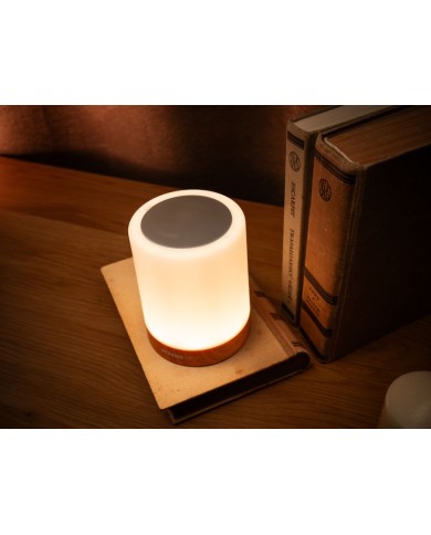 Lampa Strend Pro, stolná, stmievateľná, USB, voľba intenzity a farby svetla, RGB, s hákom na zavesenie