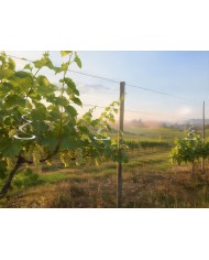 Plašič vtákov Strend Pro, špirála, bal. 3ks