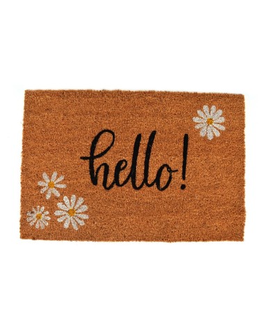 Rohož 40x60 cm PVC+kokos HELLO