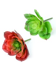 Ozdoba zapichovacia skalnička echeveria 12cm