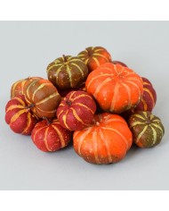 Dekorácia tekvice farebné sada 14 ks