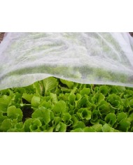 Textília Garden B1106 2x10 m, netkaná, 17 g/m, biela