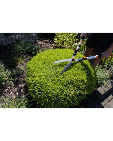 Nožnice Strend Pro KT3833A, záhradné, na živý plot, Alu, teleskopické