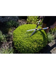 Nožnice Strend Pro KT3833A, záhradné, na živý plot, Alu, teleskopické