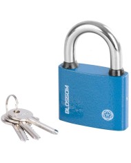 Zámok Blossom BC29 60 mm, visiaci, Unique