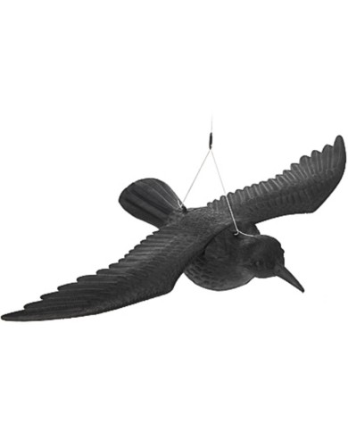 Plašič - dekorácia havran čierny 40x57,5 cm lietajúci KLC