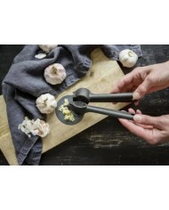 Lis na cesnak rozkladací Ortex 4,5x7x23cm KLC