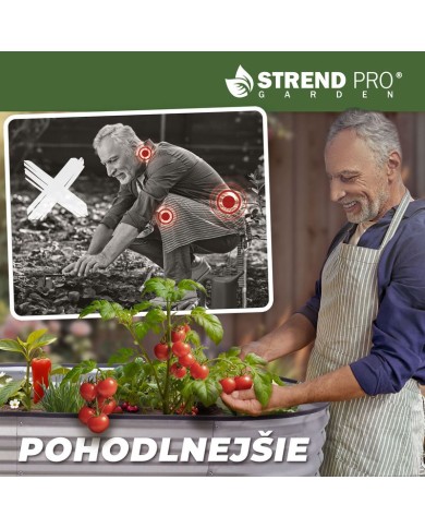 Záhon Strend Pro Garden, vyvýšený, pozinkovaný, 100x200x78 cm