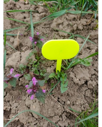 Zápich do záhrady 25x7x0,3cm plast balenie 10ks