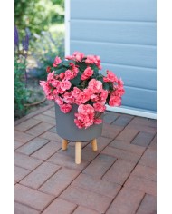 Kvetináč Strend Pro, farba Kávový prášok, 24,5x24,5x31 cm