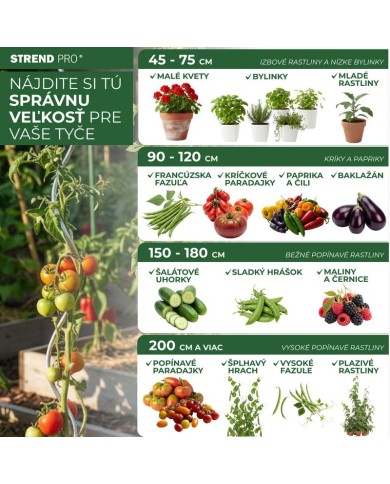 Tyč Garden SB 11/900 mm, oceľ/plast, zelená, oporná k rastlinám a paradajkám