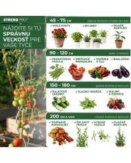 Tyč Garden SB 11/1200 mm, oceľ/plast, zelená, oporná k rastlinám a paradajkám