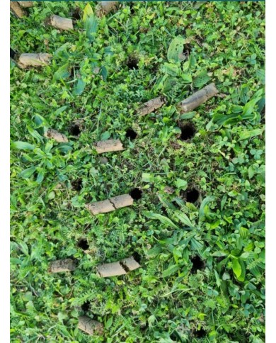 Prevzdušňovač Strend Pro Garden, rúrkový, 4 hrotý, 30x102 cm
