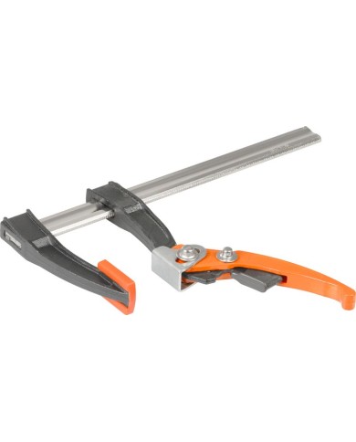 Svorka Strend Pro Premium, upínacia, račňová, 80x200 mm