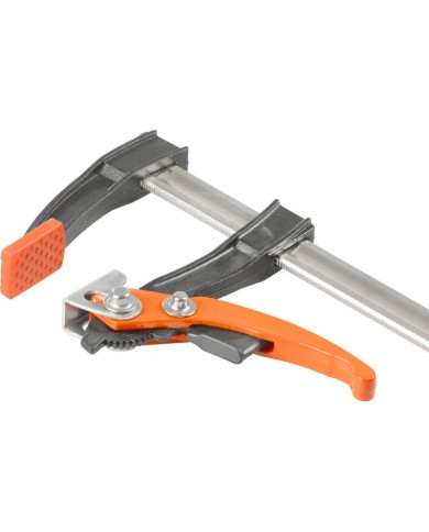 Svorka Strend Pro Premium, upínacia, račňová, 80x250 mm