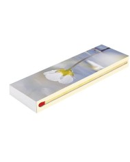 Zápalky Camino MAXI Special 20 cm, 45 ks, krbové, dlhé