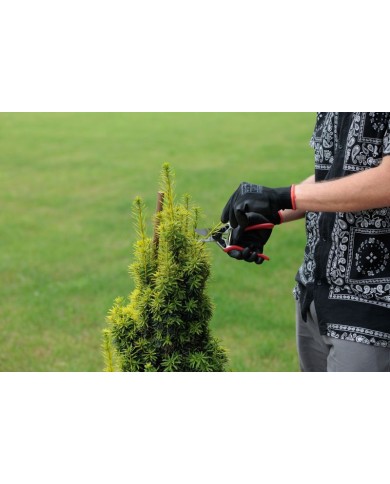 Nožnice Strend Pro Premium 3103A-2, záhradné, na konáre