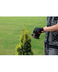 Nožnice Strend Pro Premium 3103A-2, záhradné, na konáre