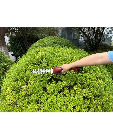 Nožnice Worcraft CGS-S20LiC ShareSYS, 20V Li-Ion, záhradné, na trávu, 2v1