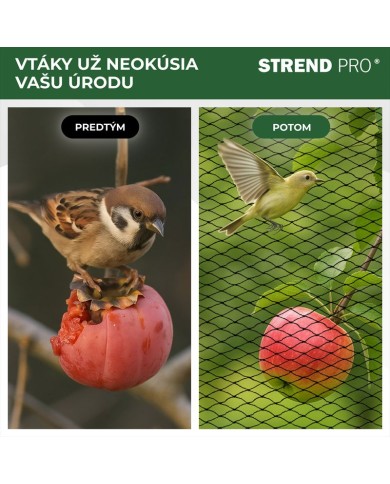 Sieť Strend Pro, 2x5 m, oko 25 mm, proti vtákom, PE