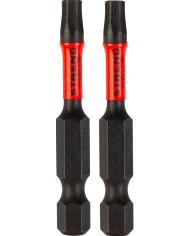 Bit Strend Pro Premium Torx, T 25, bal. 2 ks