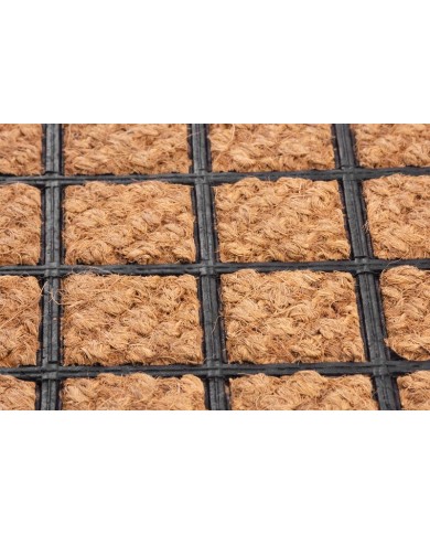 Rohožka MagicHome RBB 108, pred dvere, Hence, 40x60 cm