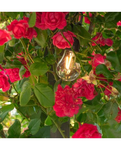 Žiarovka Strend Pro, kempingové, LED, 100 lm, 400 mAh, USB-C nabíjanie, svietidlo