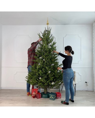 Stojan Kamai, START 2.0, na 2,0 m stromček, 2,0 lit., zelený