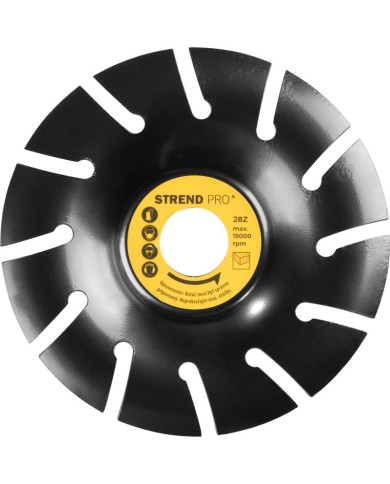 Kotúč Strend Pro, rašpľový, 125 mm, na drevo, do uhlovej brúsky