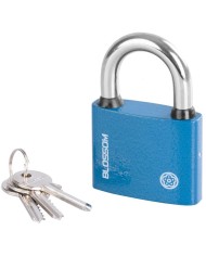 Zámok Blossom BC29 60 mm, visiaci, Unique