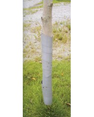 Ochrana GreenGarden GUARDIAN, 100 cm, bal. 3 ks, na stromčeky