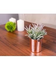 Sukulent MagicHome S31274, 16 cm, črepník- keramika, zlatý, umelý