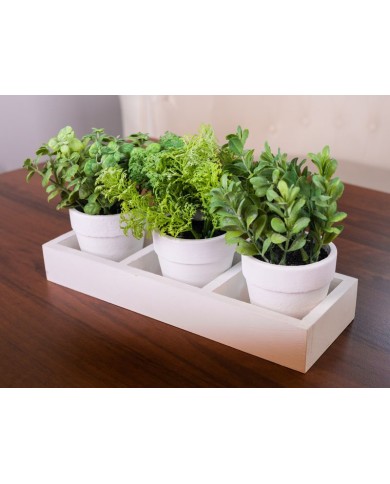 Mix bylín sukulent, MagicHome, 18 cm, kvetináč - papier, 3 ks, umelé