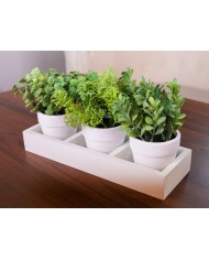 Mix bylín sukulent, MagicHome, 18 cm, kvetináč - papier, 3 ks, umelé