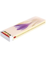 Zápalky Camino MAXI Special 20 cm, 45 ks, krbové, dlhé