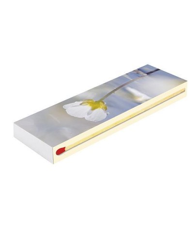 Zápalky Camino MAXI Special 20 cm, 45 ks, krbové, dlhé