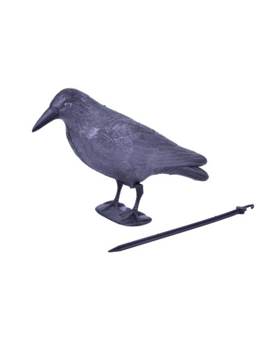 Plašič vtákov Havran čierny, 38 cm