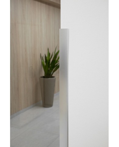 Lišta Strend Pro CS147, Alu 1500x40x0,8 mm, strieborná matná, 0,8 mm, rohová