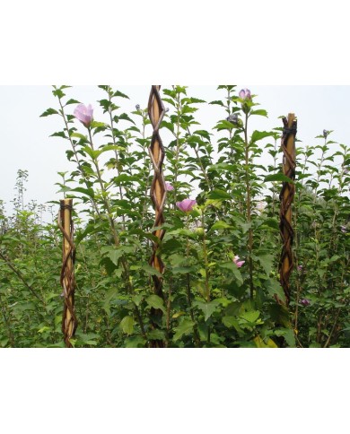 Tyč Garden Willow 160 cm, prútená, oporná k rastlinám