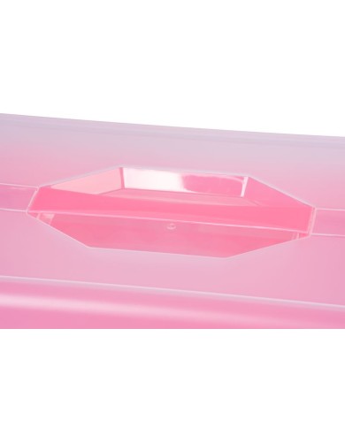 Box MagicHome Caker CC09E, 430x290x80 mm, na zákusky