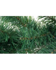 Girlanda MagicHome Vianoce, 270 cm, 200 vetiev